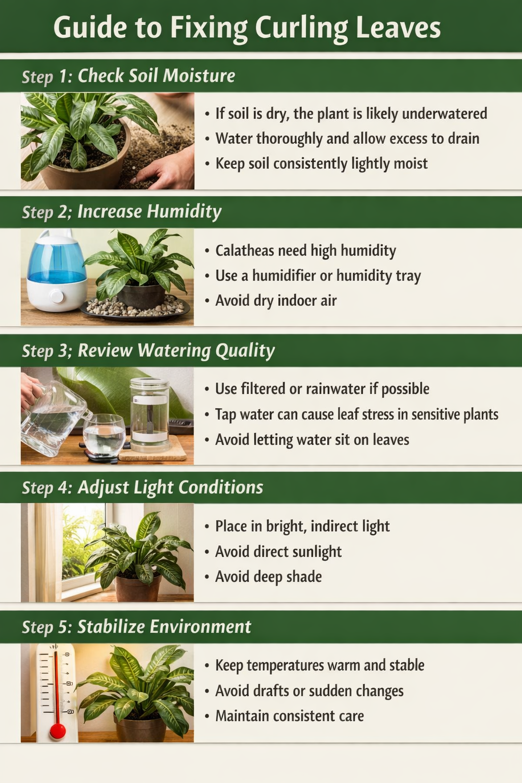 Stepbystep guide to fixing curling leavesStep 1 Check soil moistureIf soil is dry the plant is likely underwateredWater thoroughly and allow excess to