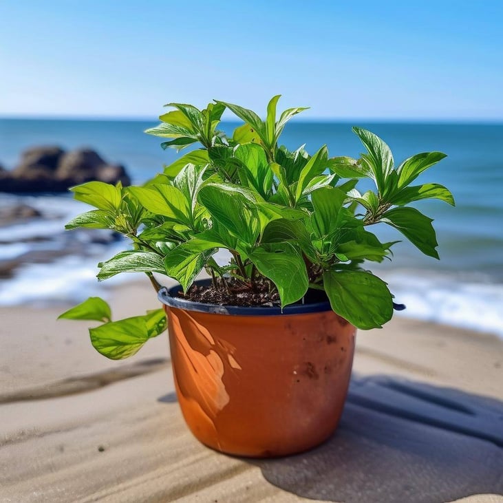 plants that grow on the east coast of the US