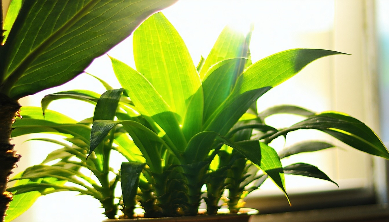 A vibrant, healthy houseplant basking in sunlight,